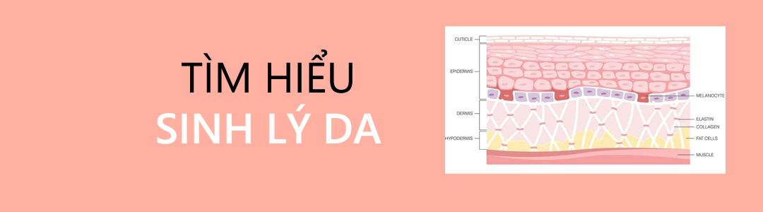 SINH LY DA