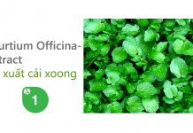 Công dụng Cải Lách Xoong