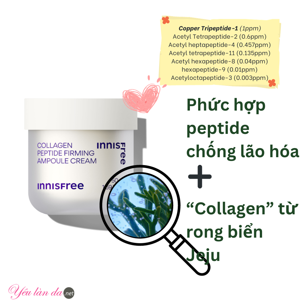 Thành phần Kem Collagen Peptide Innisfree