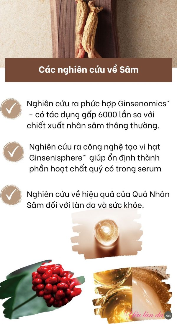 Amorepacific - Công nghệ hoạt chất từ nhân sâm