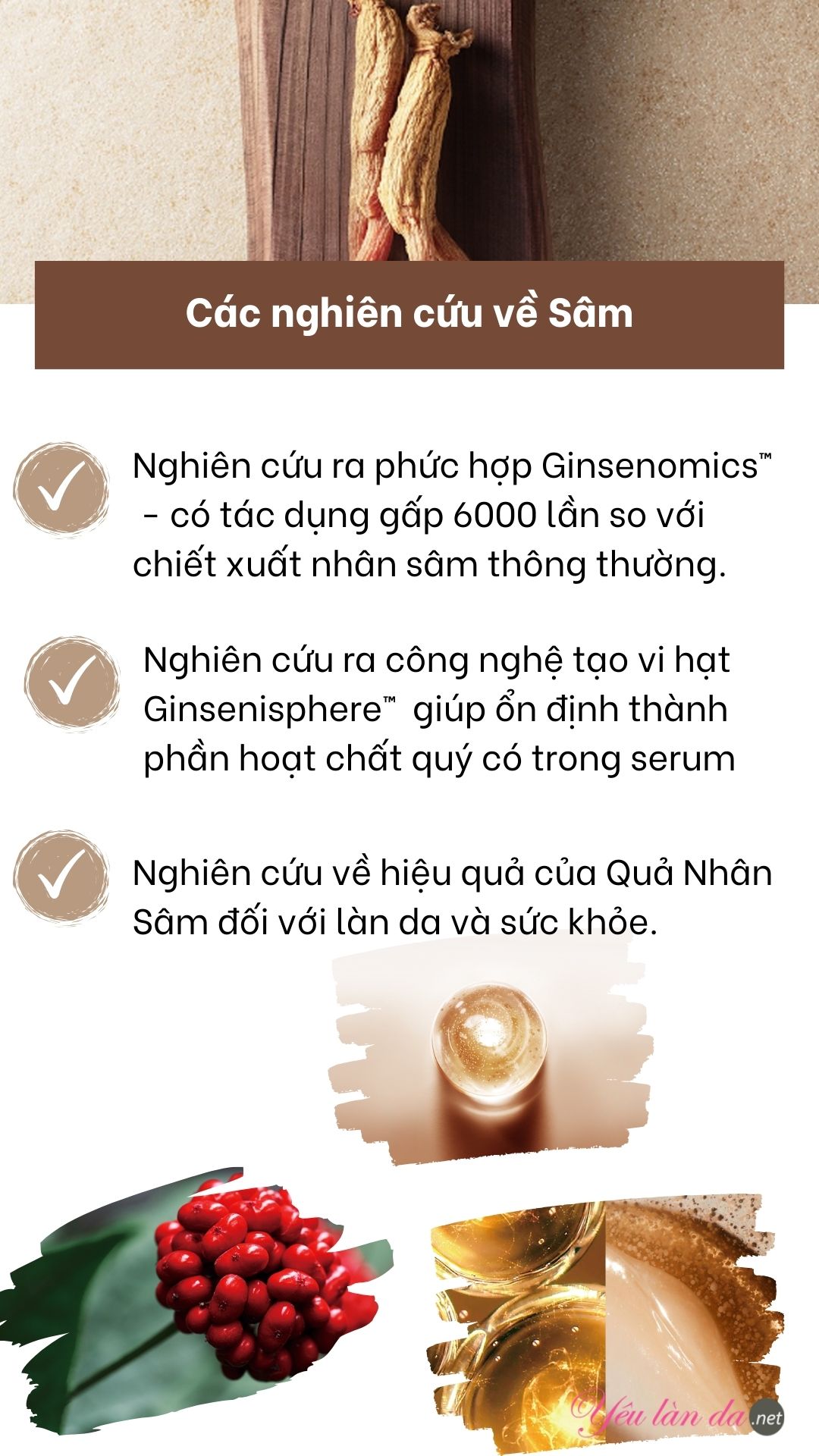 Amorepacific - Công nghệ hoạt chất từ nhân sâm