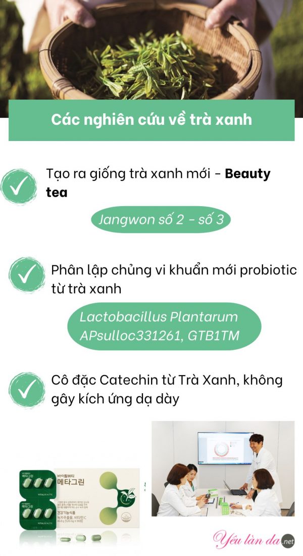 Amorepacific - Công nghệ hoạt chất từ trà xanh